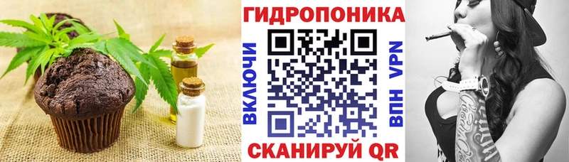 Canna-Cookies конопля Монино