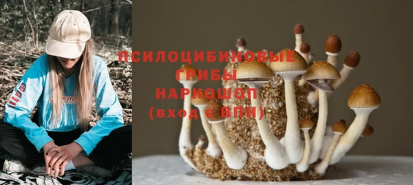 гашик Абинск